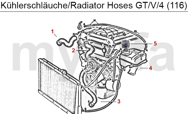 RADIATOR HOSES GTV/4