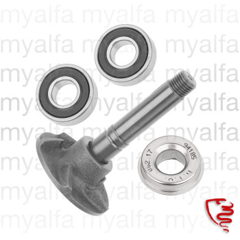 REPAIR KIT WATERPUMP          (750/101) 35 mm / 1300        